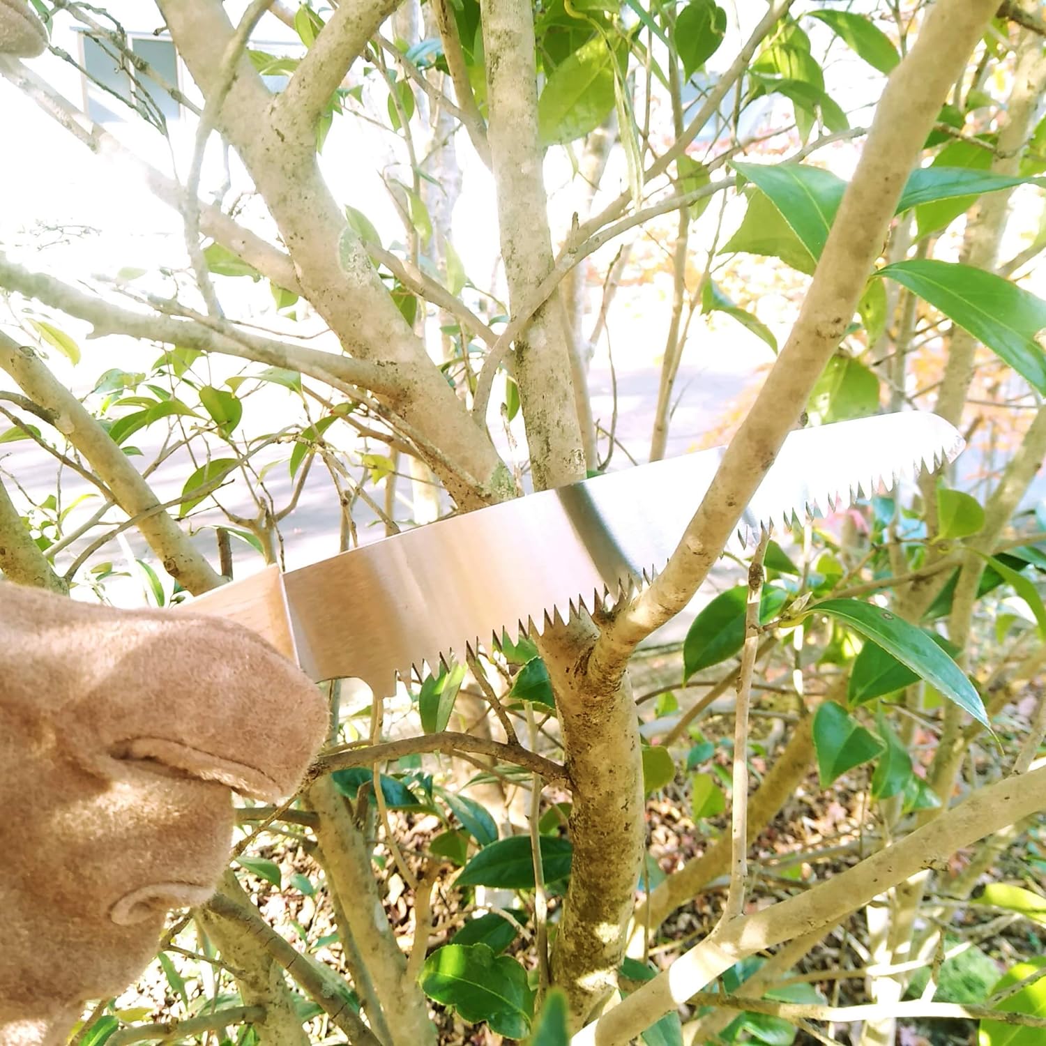 Японська сокира 170мм + пилка 170 мм - Зображення 3