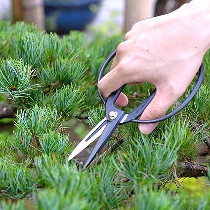 GIKOH Long blade OKUBO Shears 200㎜ ,Black - Зображення 2